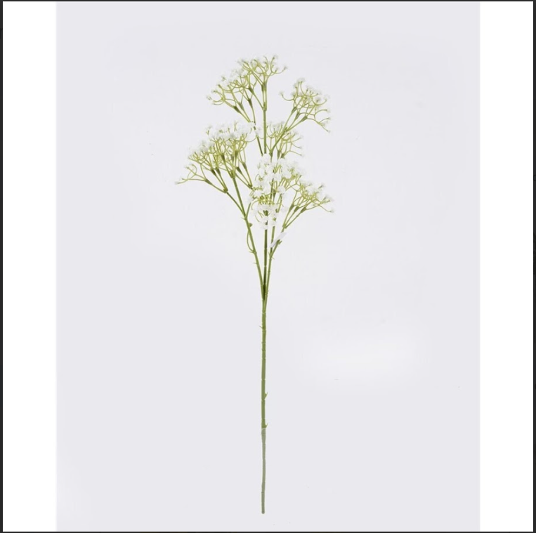 Elegant Gypsophila Spray