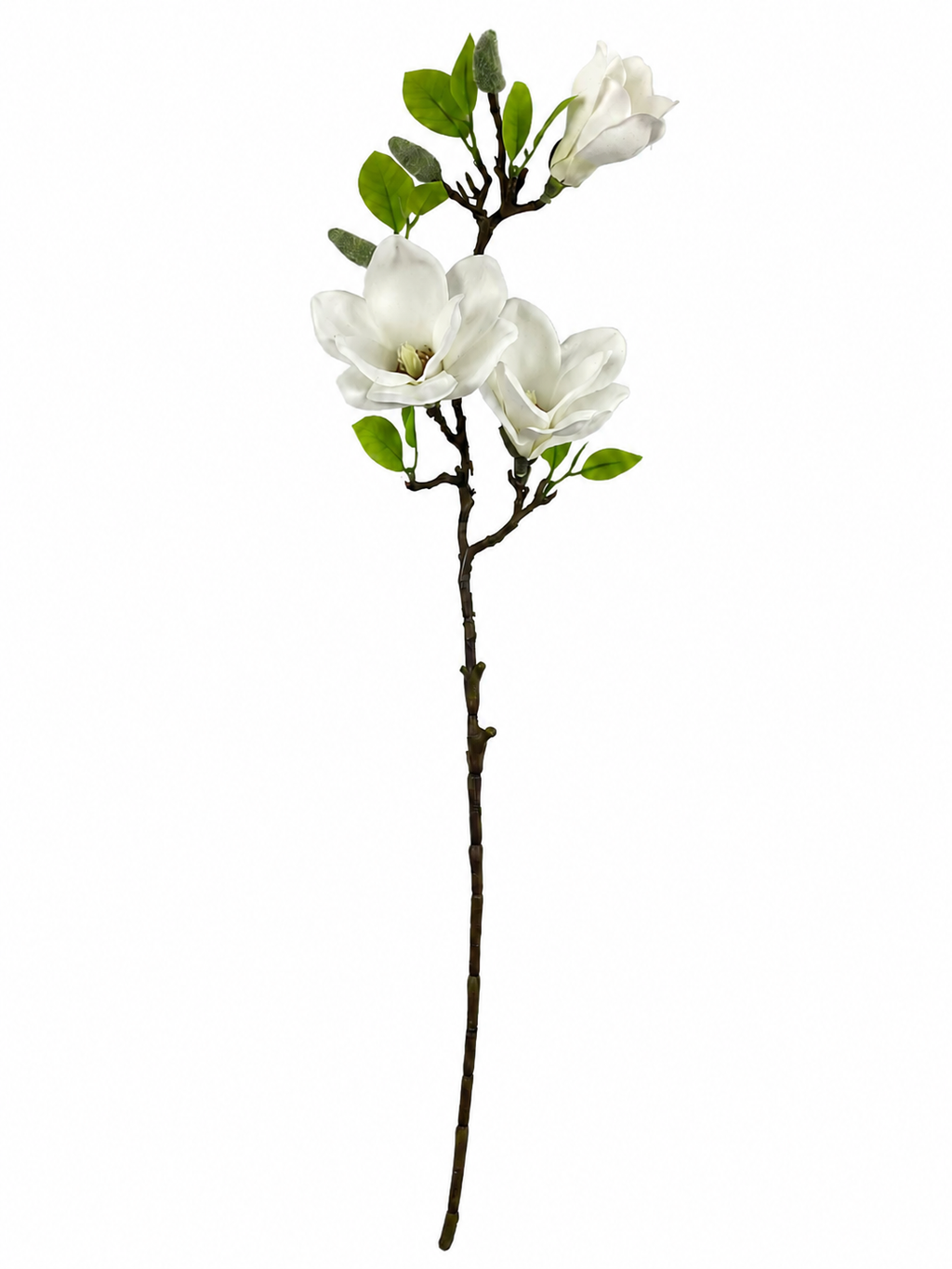 Magnolia Blossom Branch Premium (Bundle Creme)