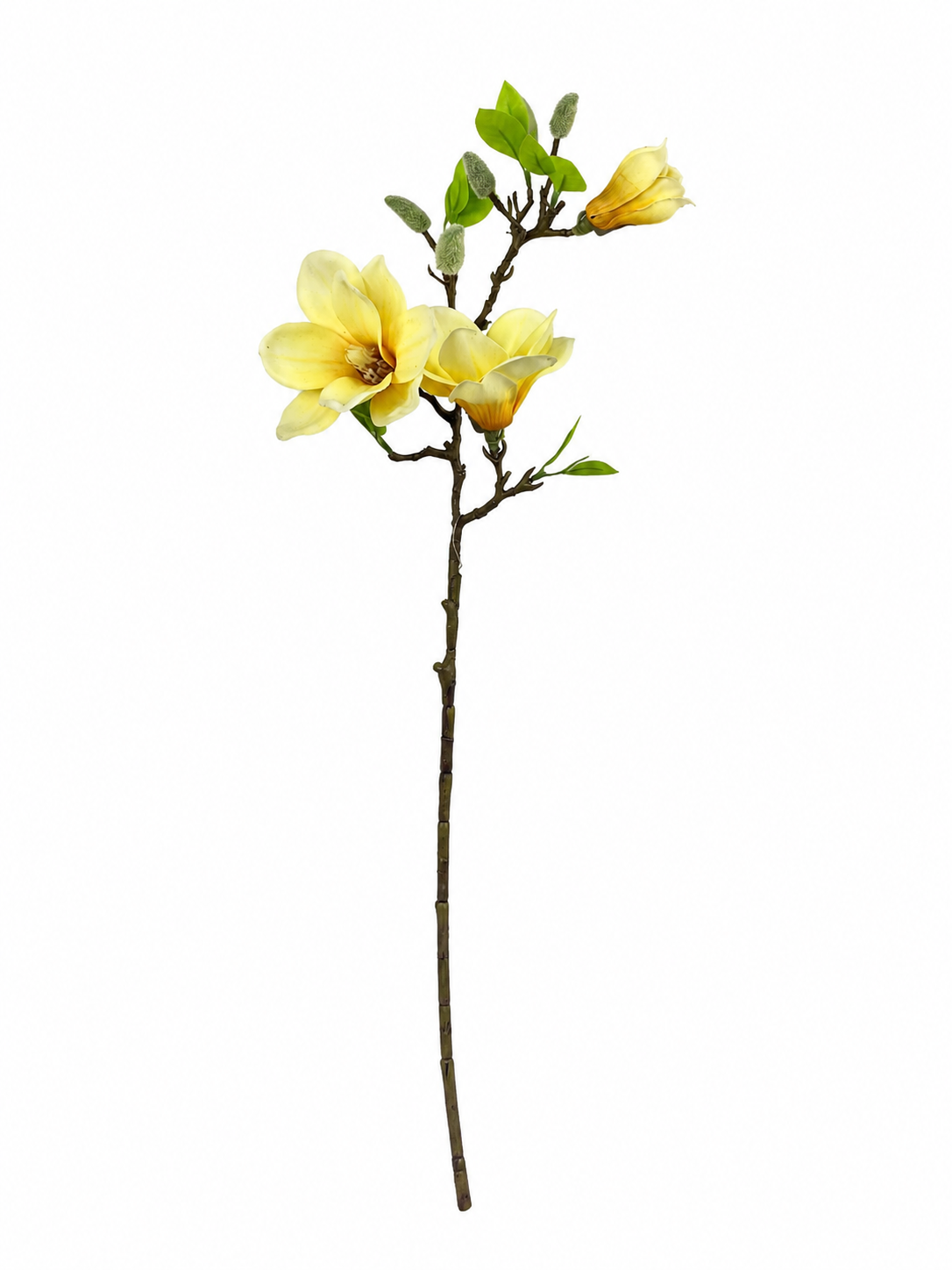 Magnolia Blossom Branch Premium (Bundle Creme)