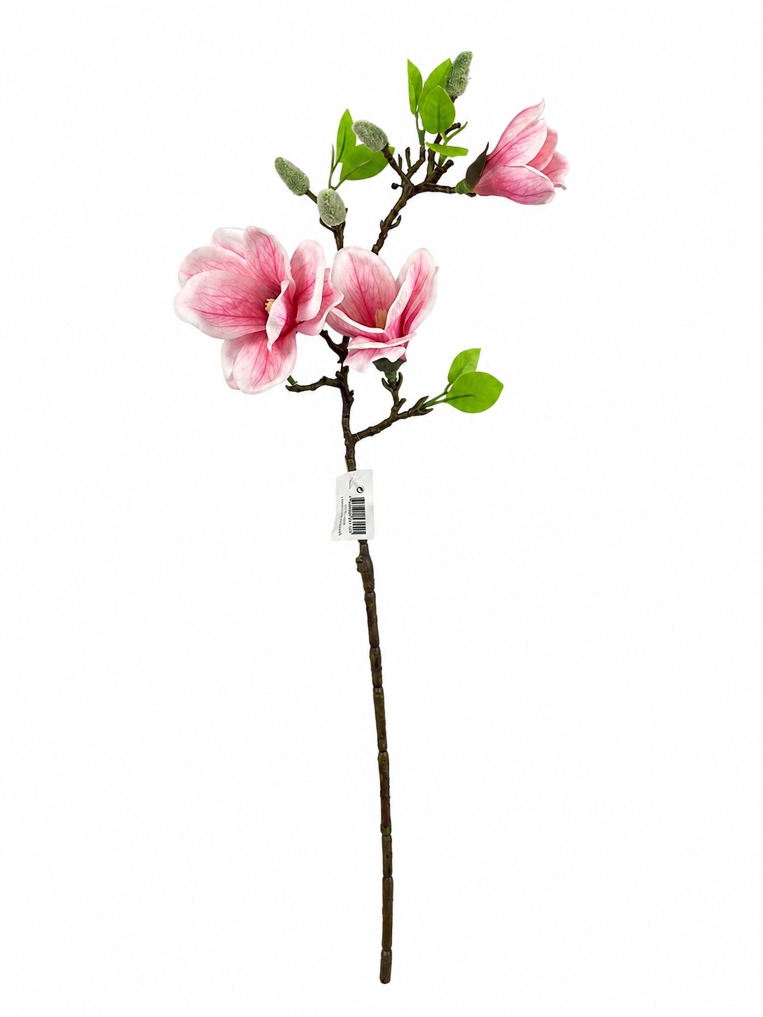 Magnolia Blossom Branch Premium (Bundle Creme)