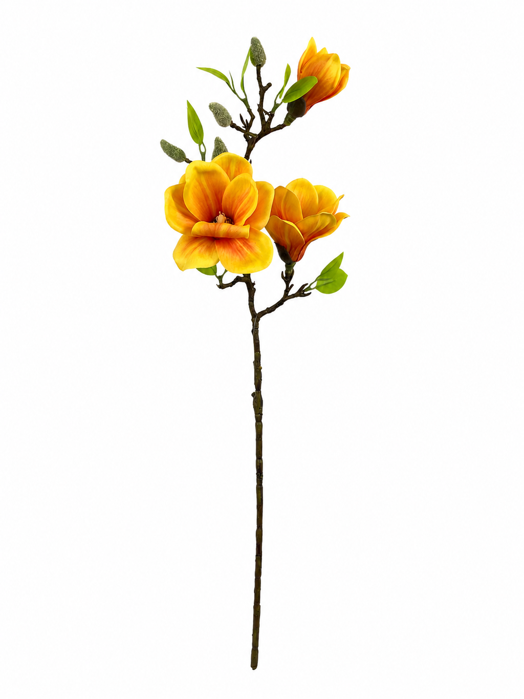 Magnolia Blossom Branch Premium (Bundle Creme)