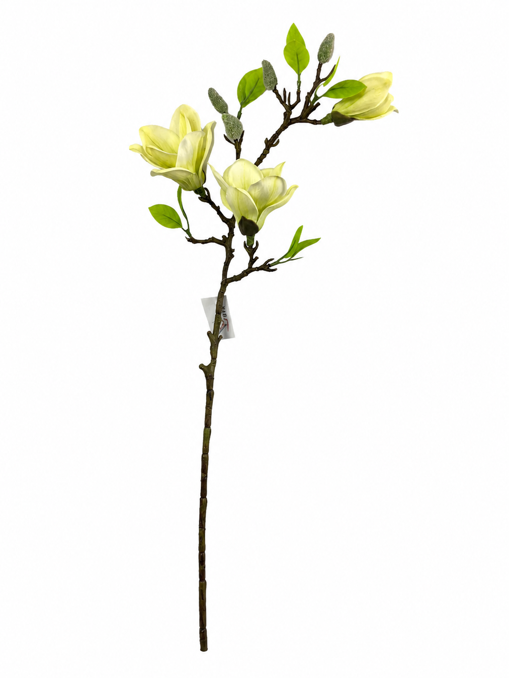 Magnolia Blossom Branch Premium (Bundle Amarelo)