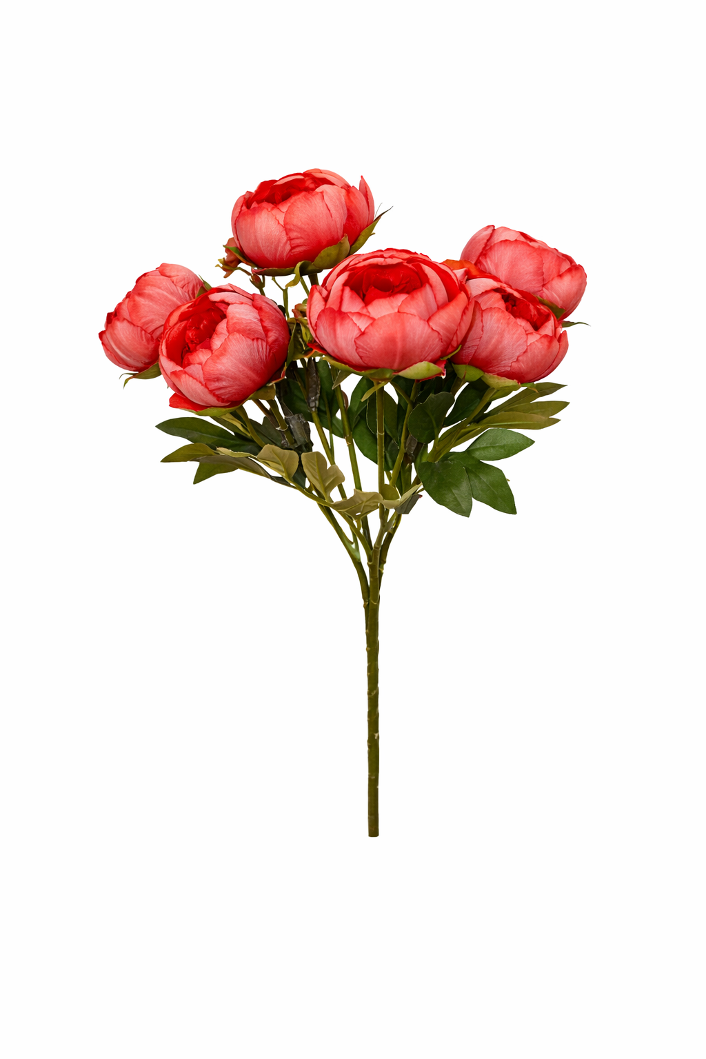 Peónia Premium Select Bouquet