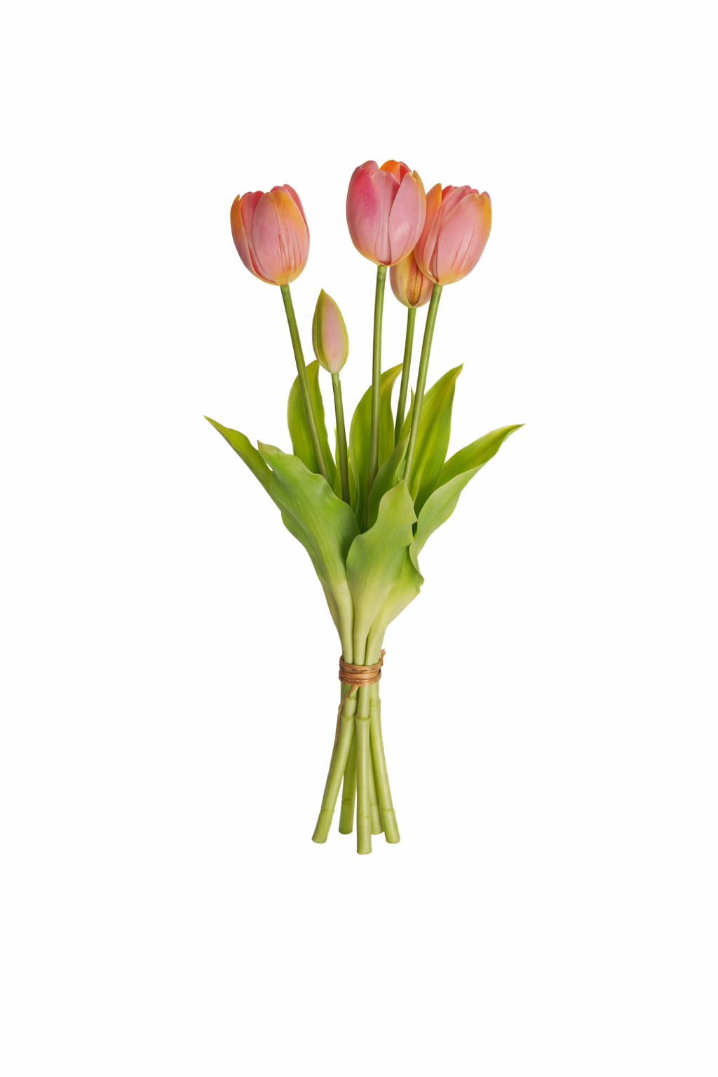 Tulip Harmony Collection Bouquet
