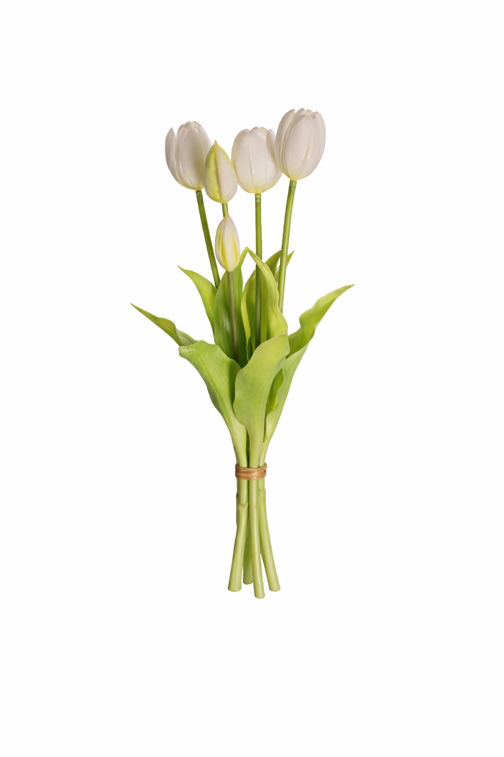 Tulip Harmony Collection Bouquet