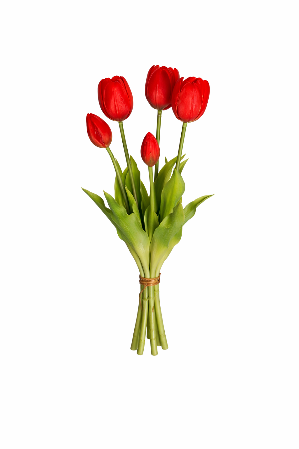 Tulip Harmony Collection Bouquet