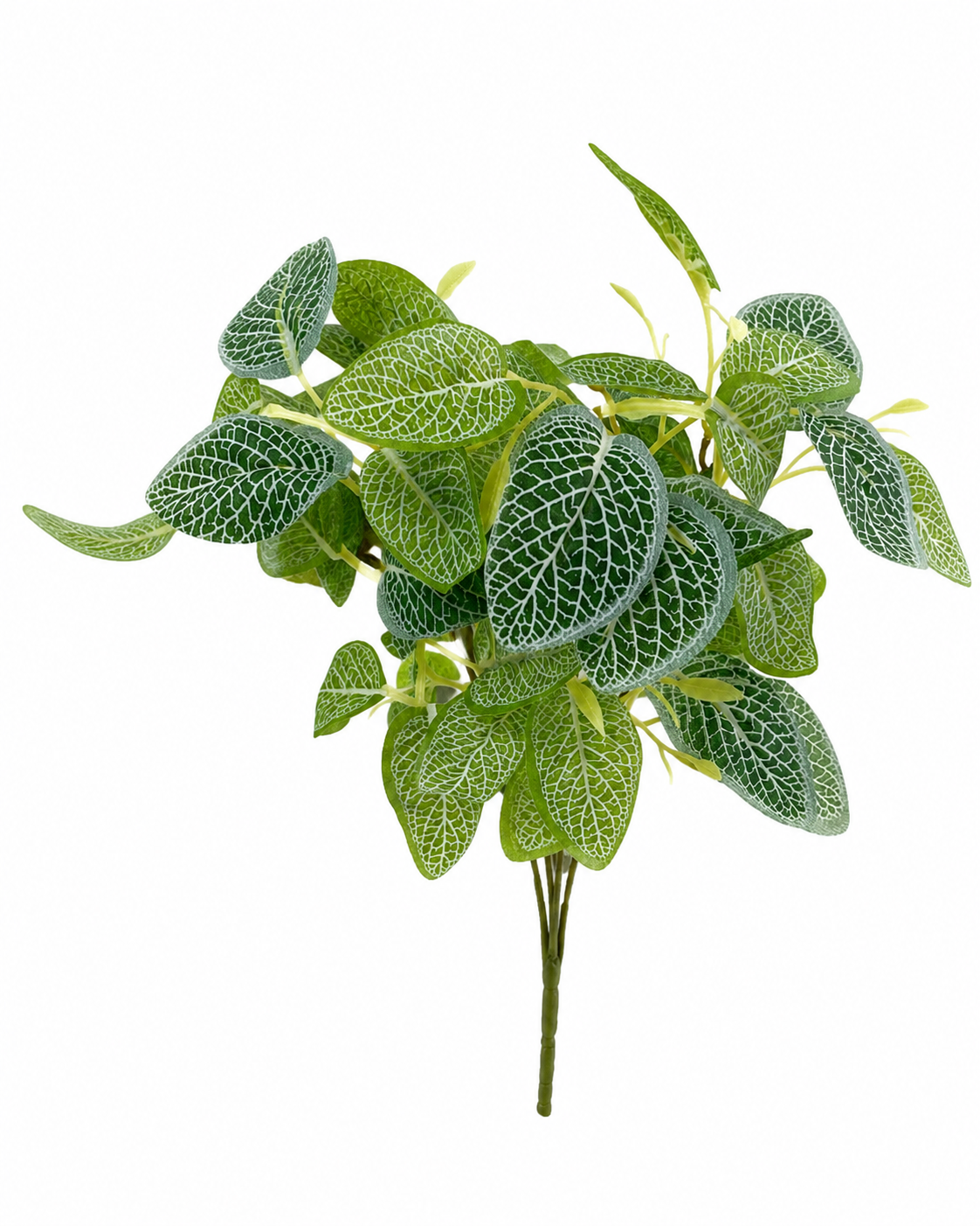 Folhagem Artificial Fitónia
