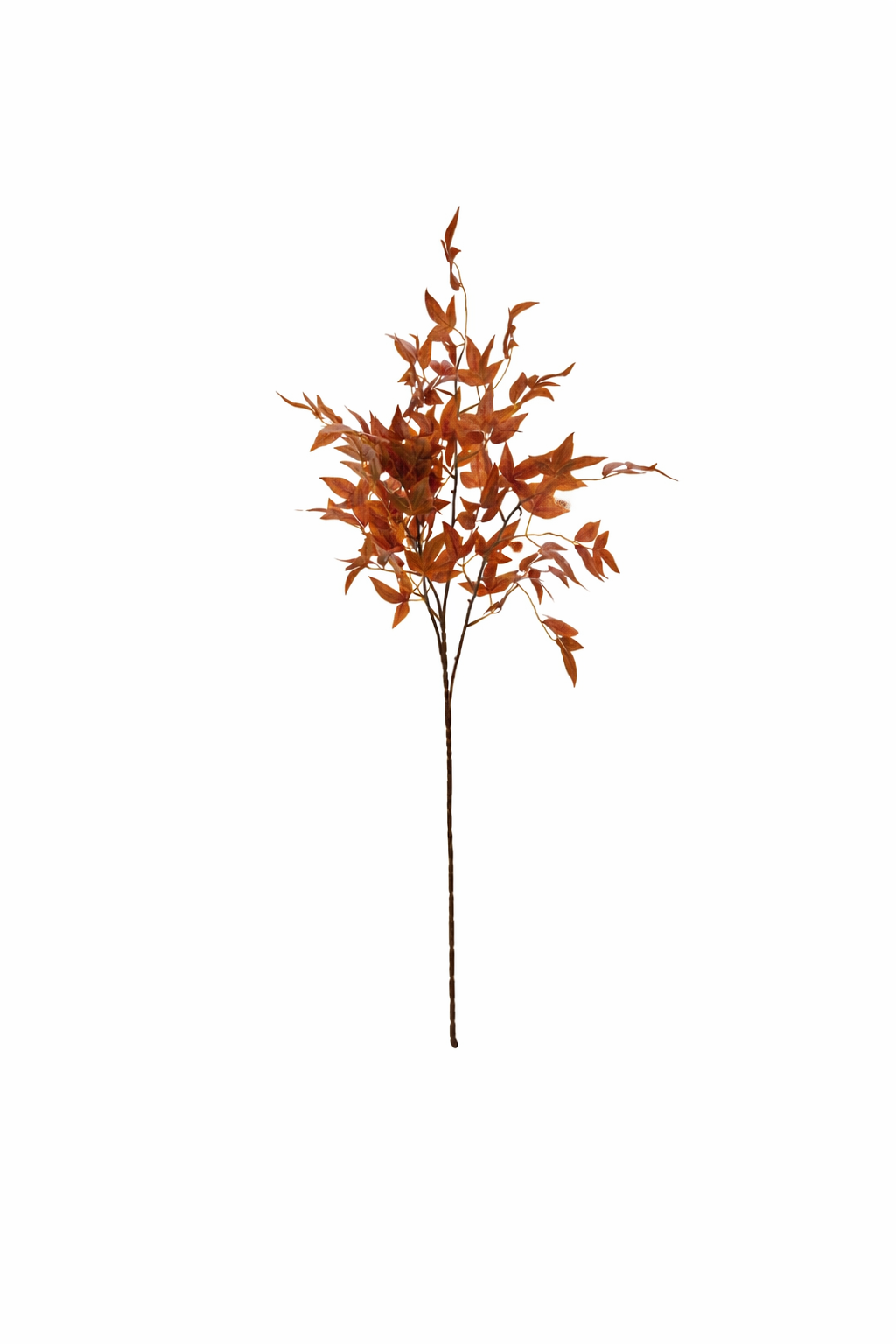 Elegant Willow Leaf Spray