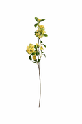 Delicate Blossom Stem Collection (Bundle Amarelo)
