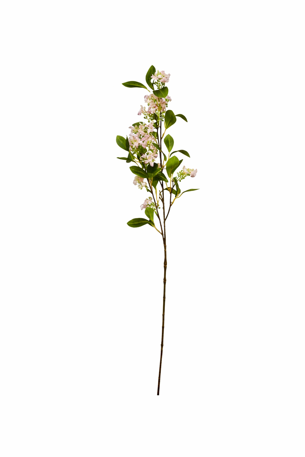 Delicate Blossom Stem Collection (Bundle Rosa)