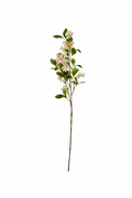 Delicate Blossom Stem Collection (Bundle Rosa)