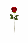 Classic Rose Bloom Stem