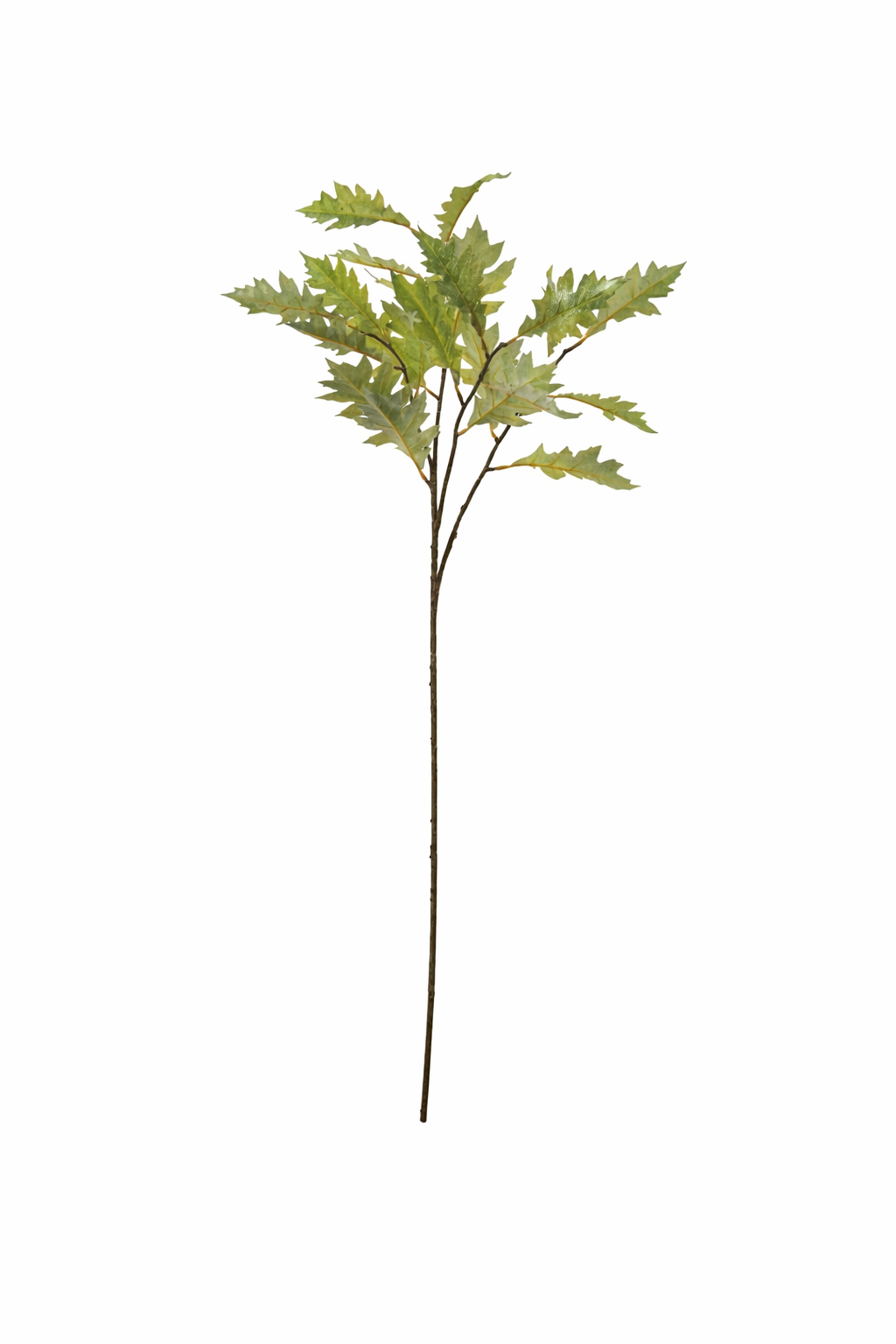 Chestnut Leaf Autumn Spray