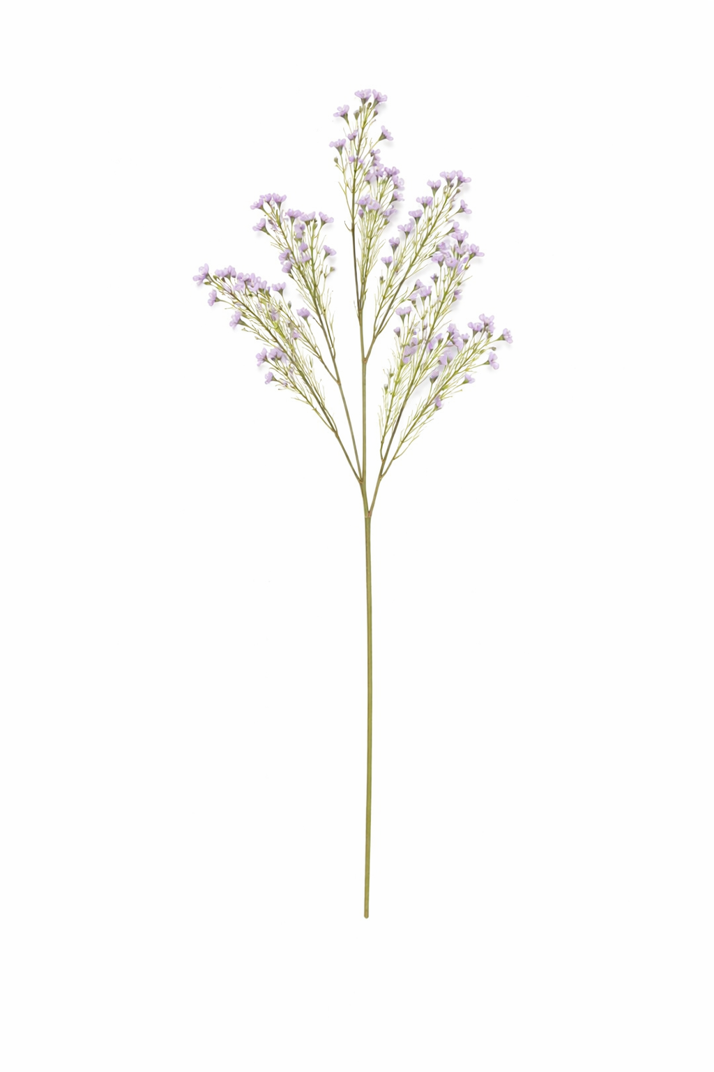 Delicate Mini Blossom Spray (Bundle Rosa)