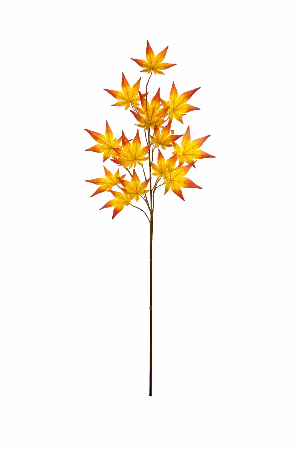 Autumn Oak Leaf Spray