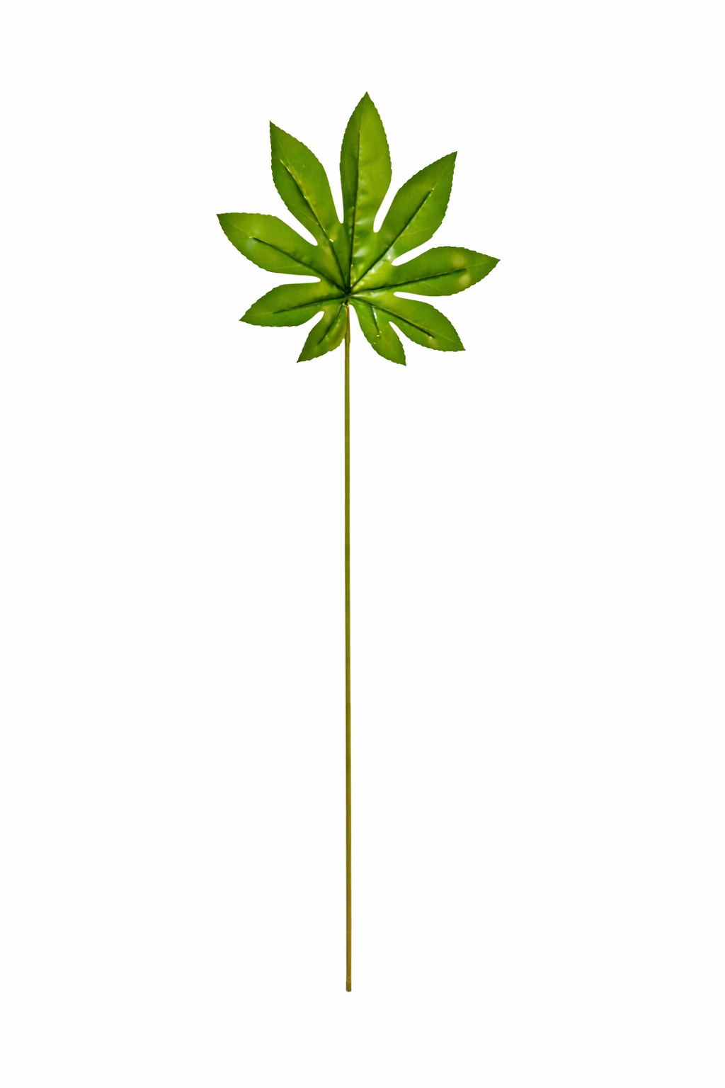 Fig Leaf Decorative Stem