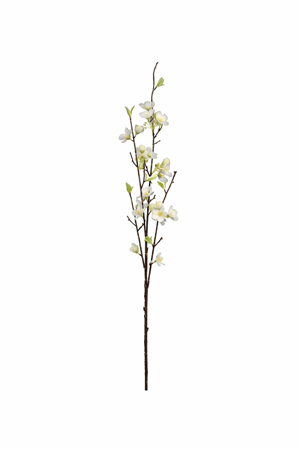 Apple Blossom Branch Spray