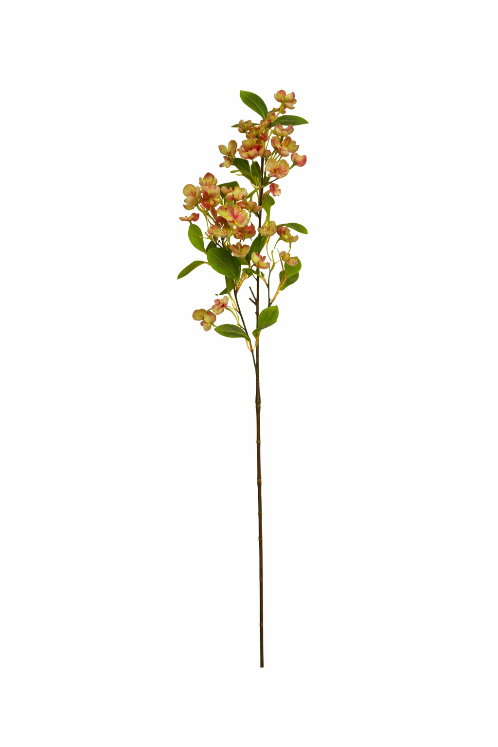 Hydrangea Blossom Stem