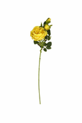 Peony Stem (Bundle Amarelo)
