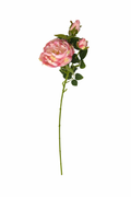 Peony Stem (Bundle Rosa)