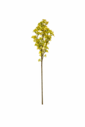 Autumn Fern Decorative Stem (Bundle Amarelo)