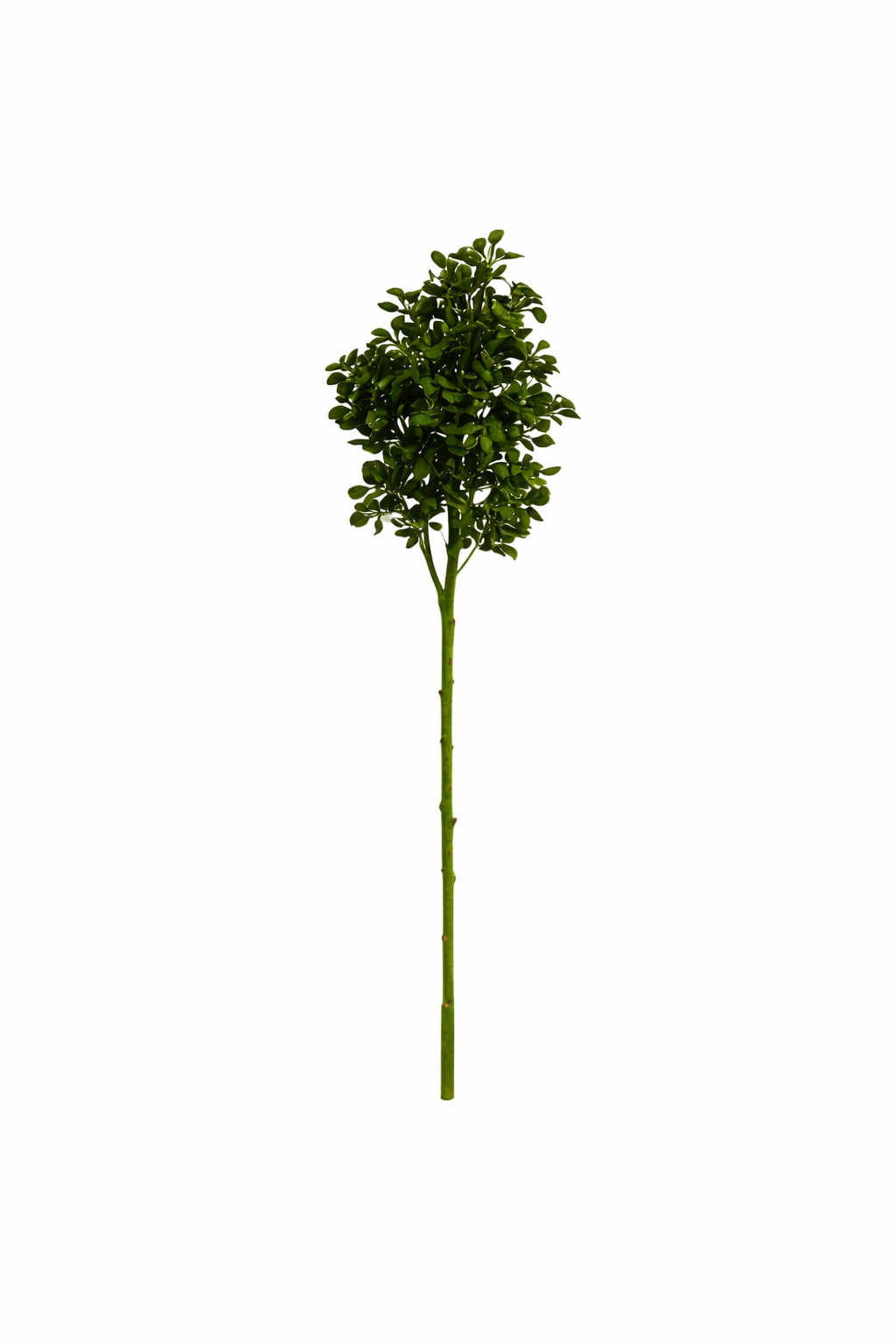 Evergreen Leaf Cluster Decorative Stem