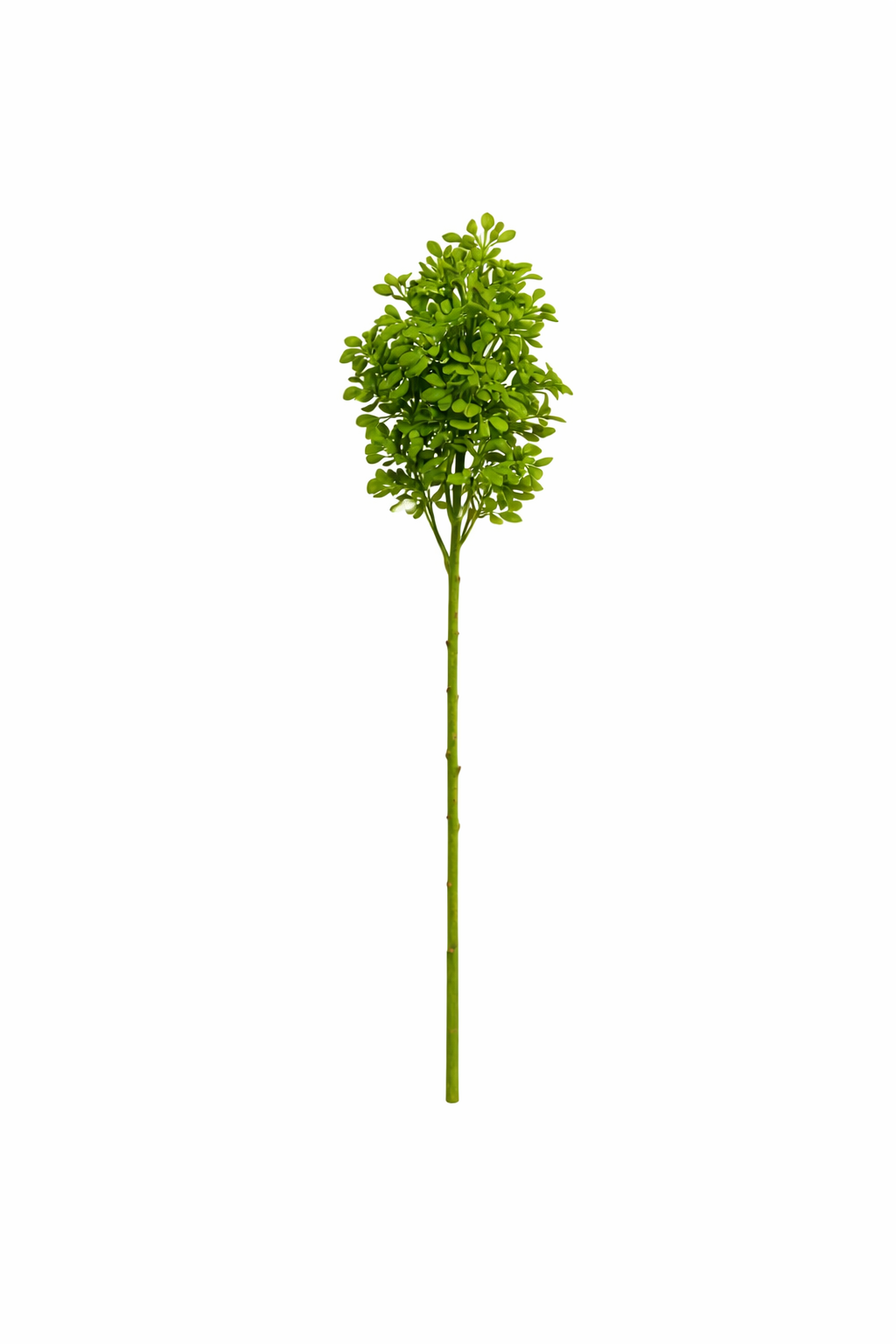 Evergreen Leaf Cluster Decorative Stem