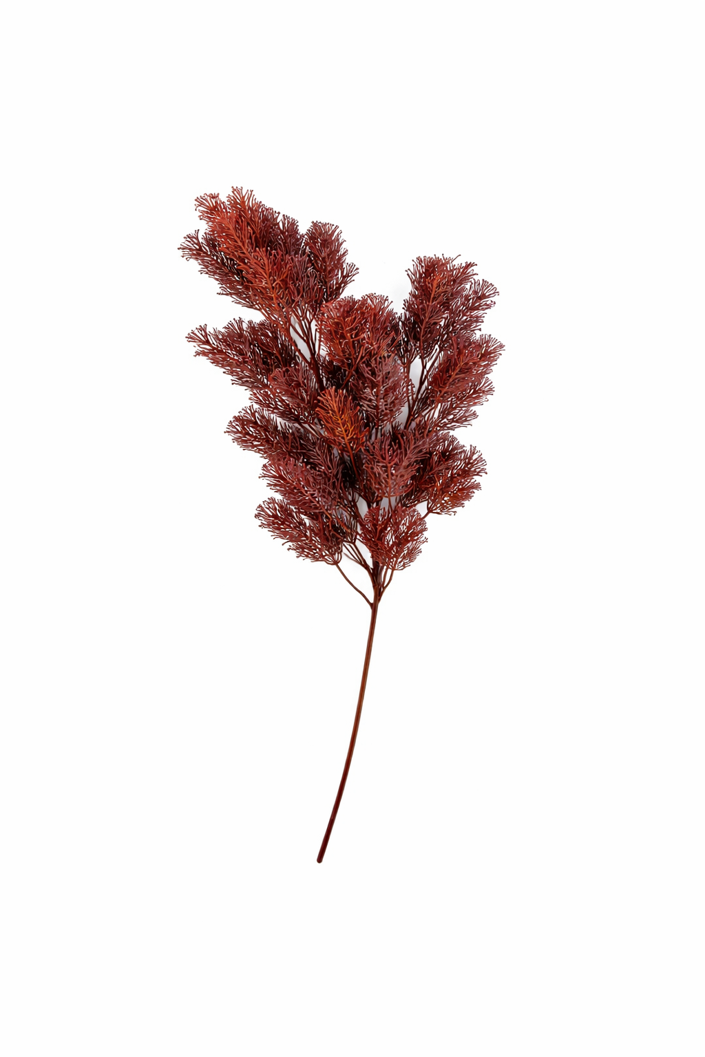 Seasonal Fern Accent Stem