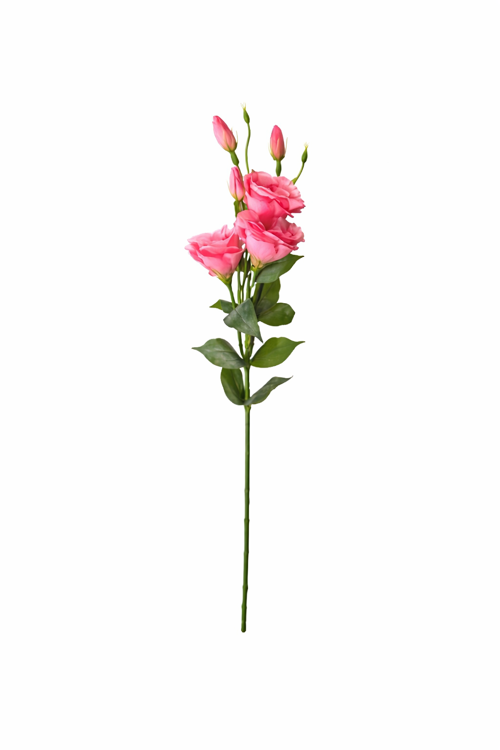 Elegant Lisianthus Spray Stem