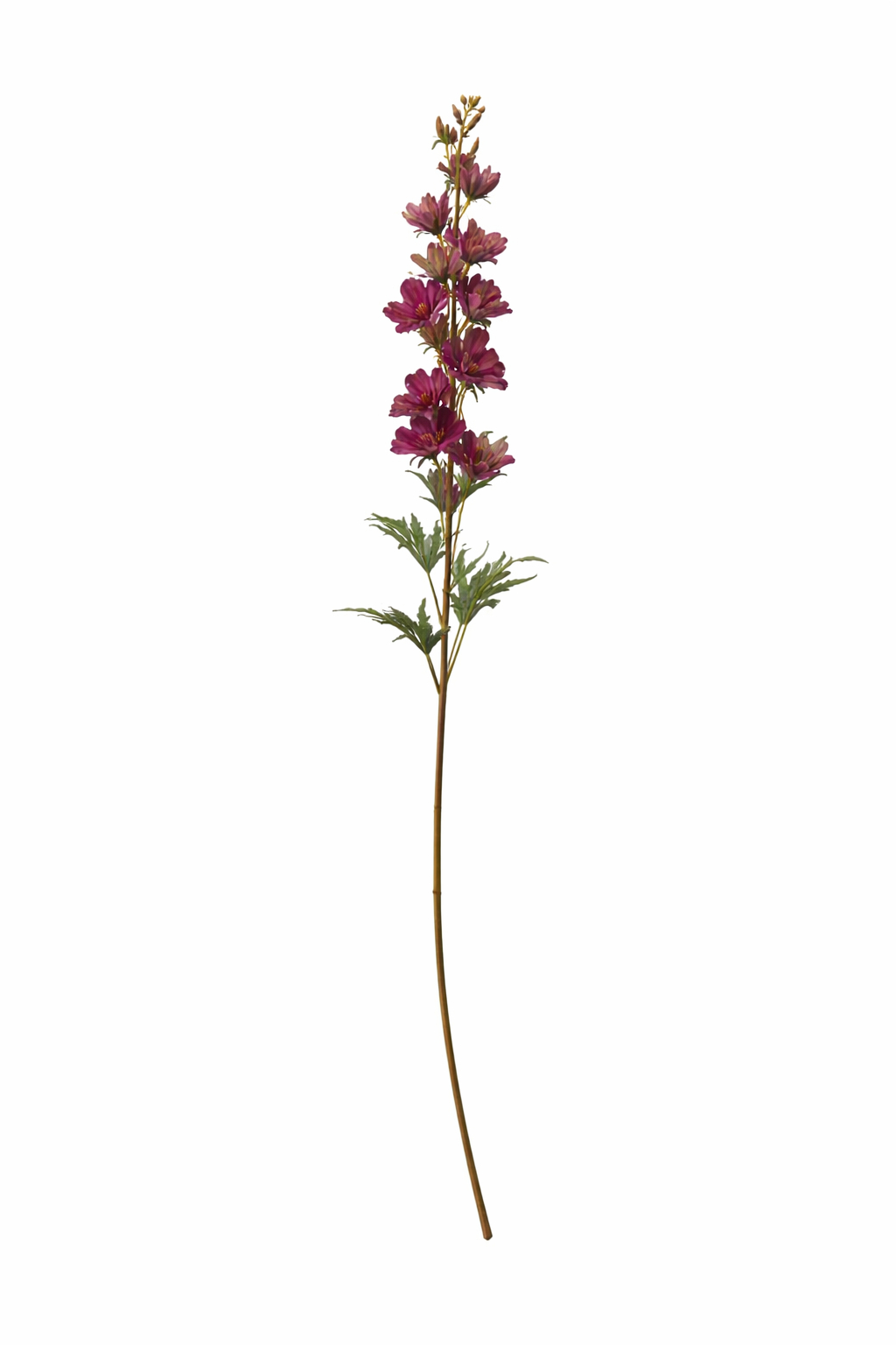Elegant Delphinium Blossom Stem (Bundle Cream)