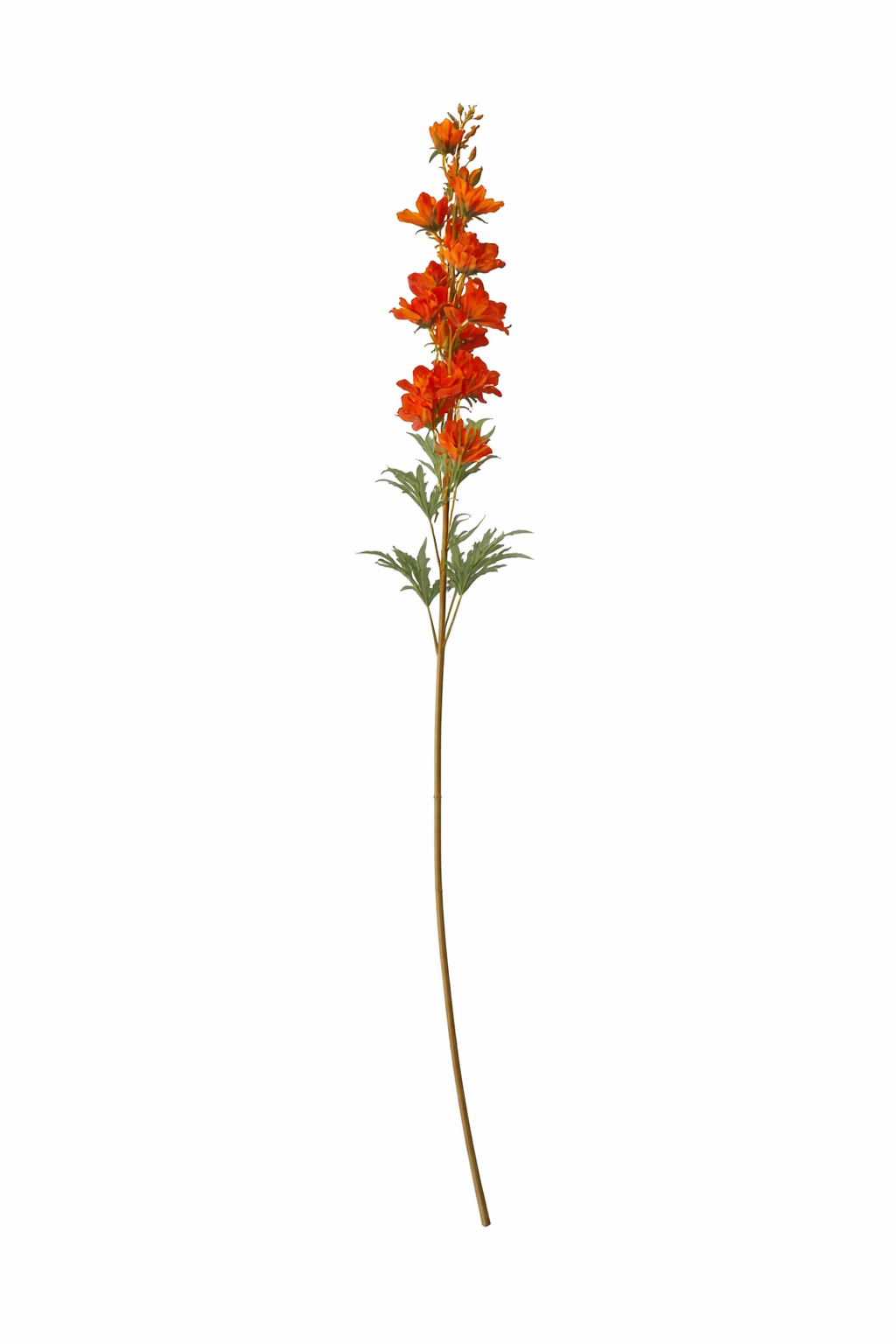 Elegant Delphinium Blossom Stem (Bundle Cream)