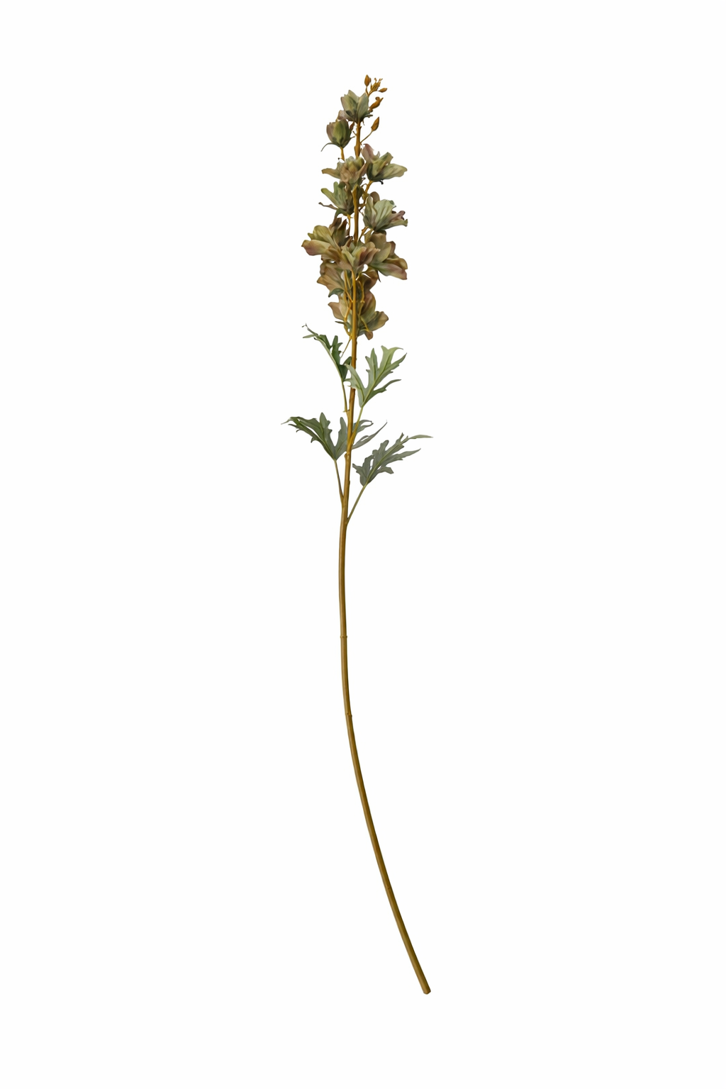 Elegant Delphinium Blossom Stem (Bundle Cream)