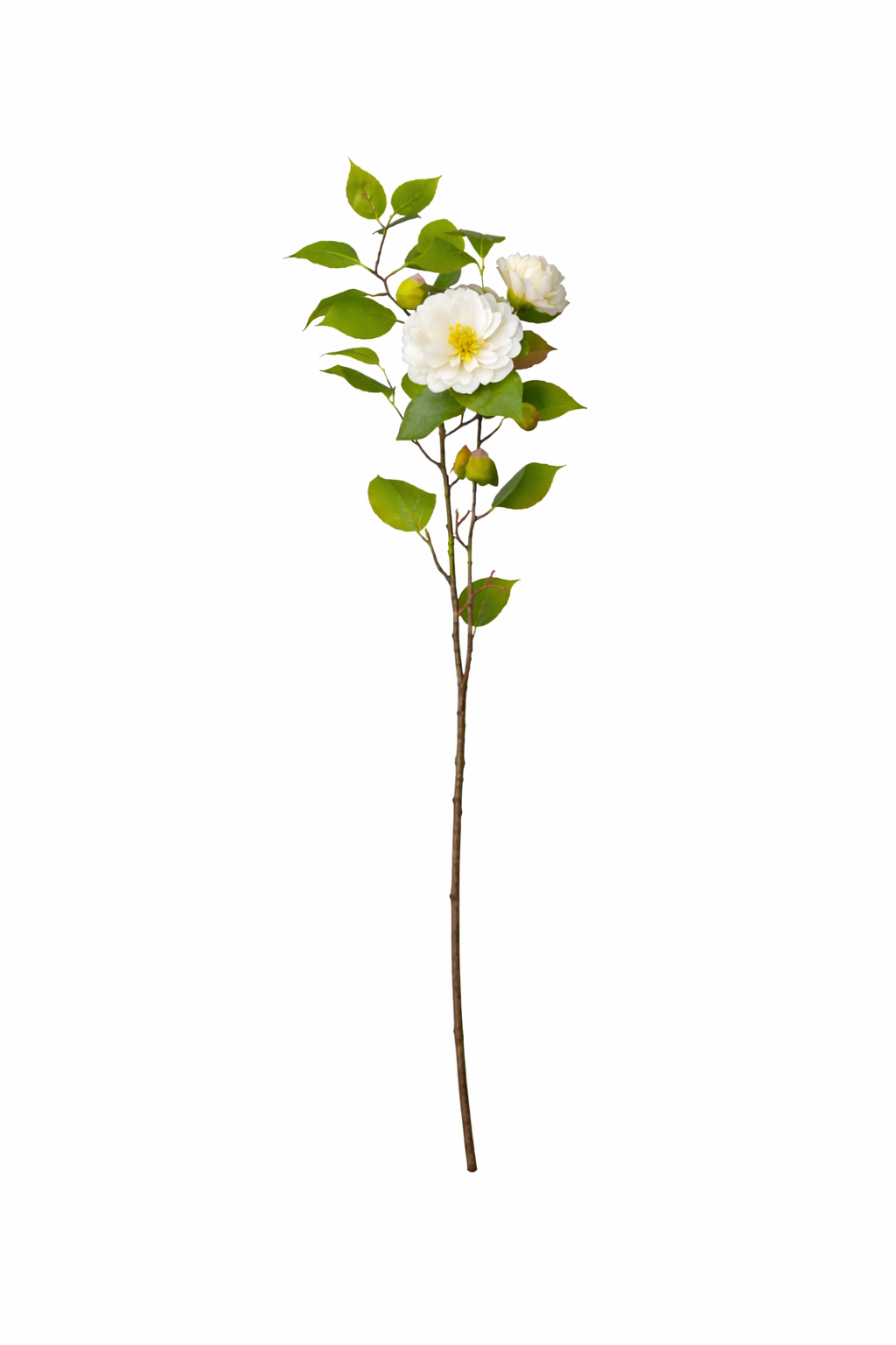 Refined Camellia Blossom Branch