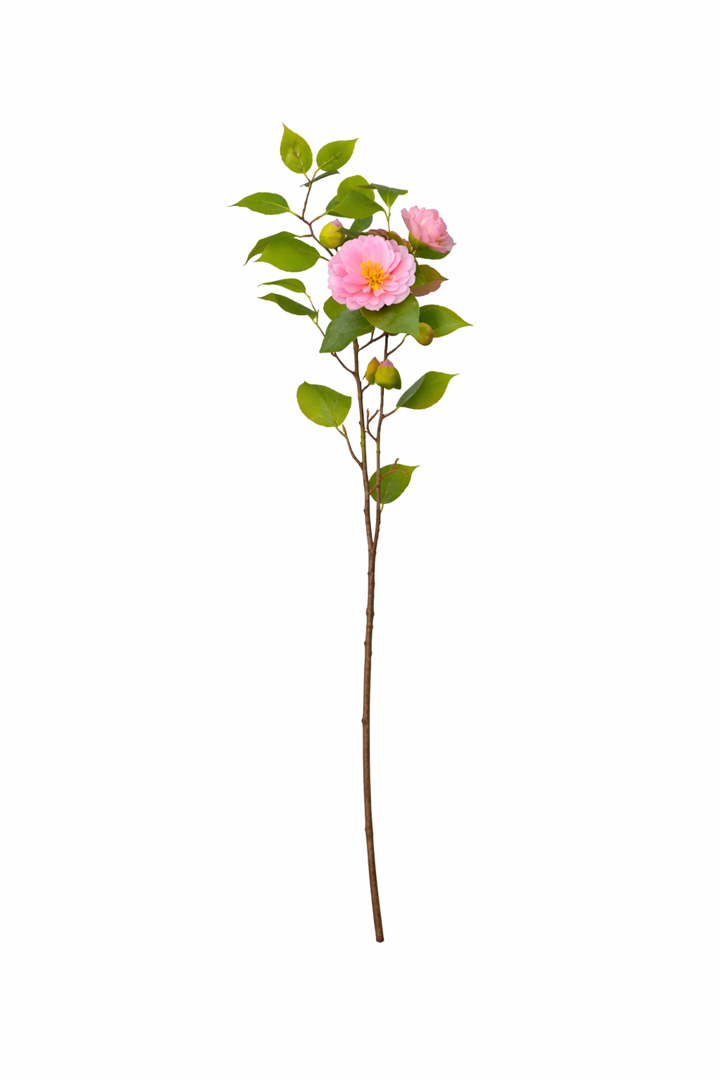 Refined Camellia Blossom Branch