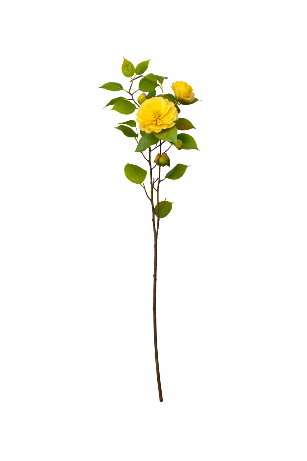 Refined Camellia Blossom Branch