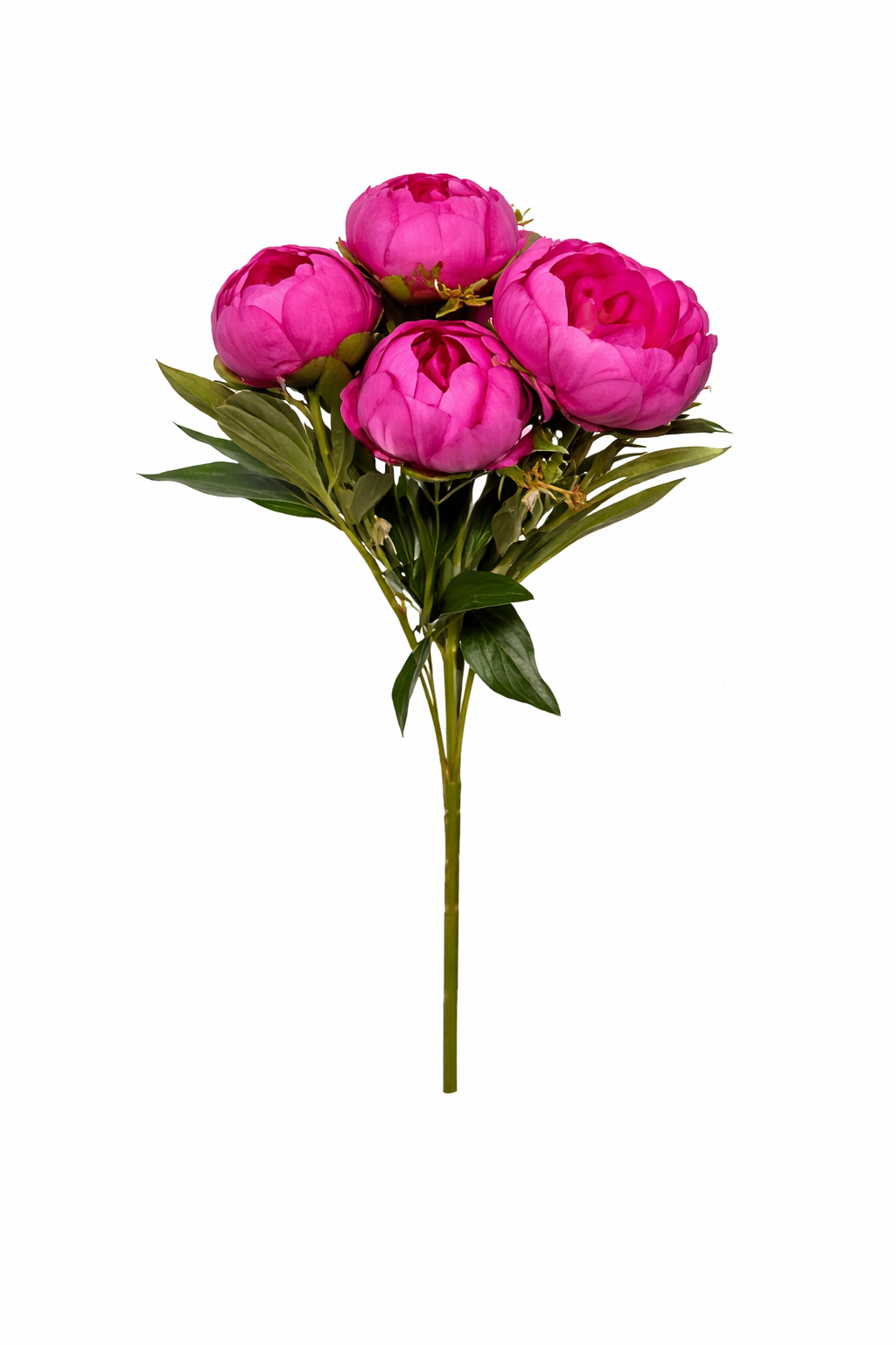 Peónia Premium Select Bouquet