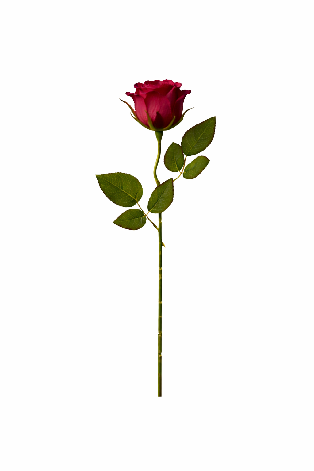 Artificial Rose Bud Stem – Color Collection