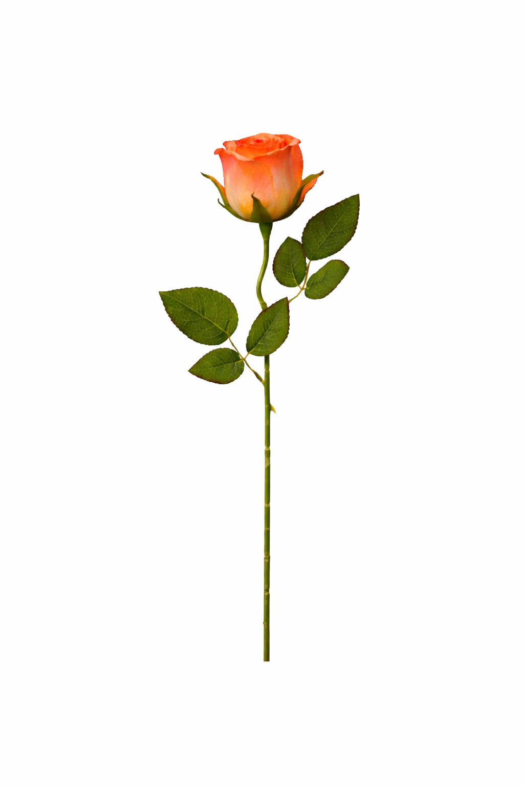 Artificial Rose Bud Stem – Color Collection