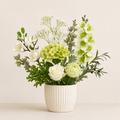 Bundle Verde