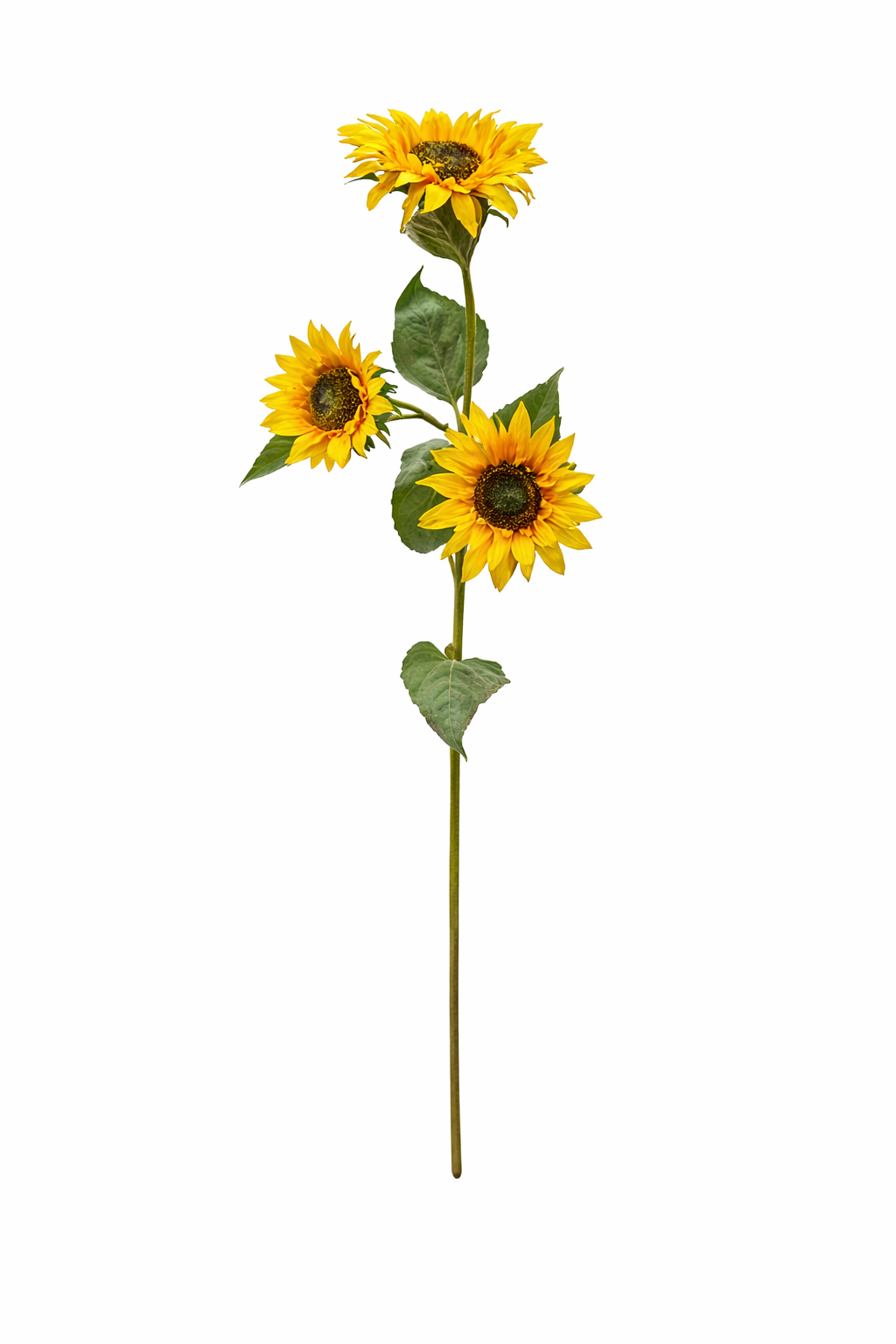 Sunlit Sunflower Spray