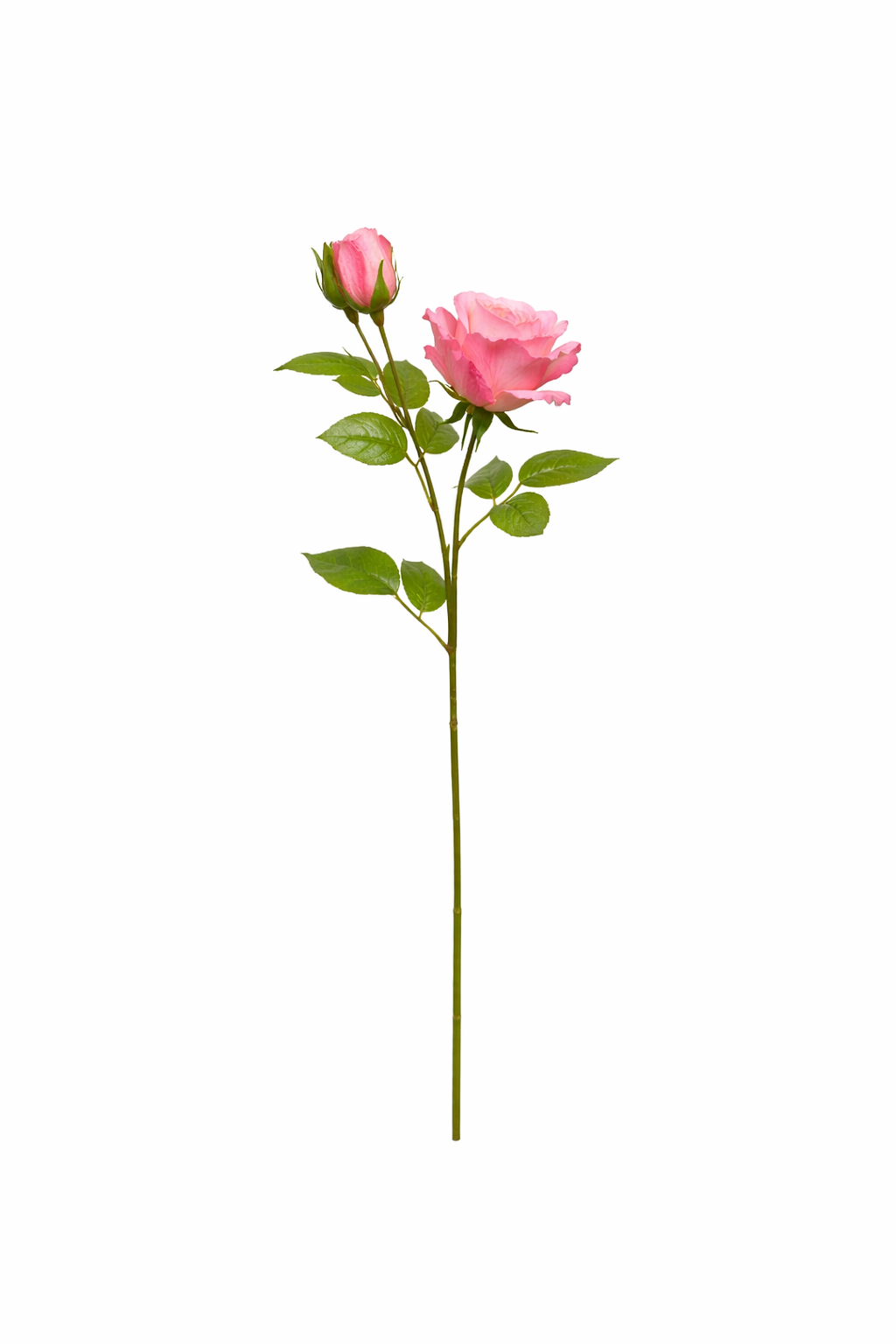 Rose Stem with Bud (Bundle Rosa)