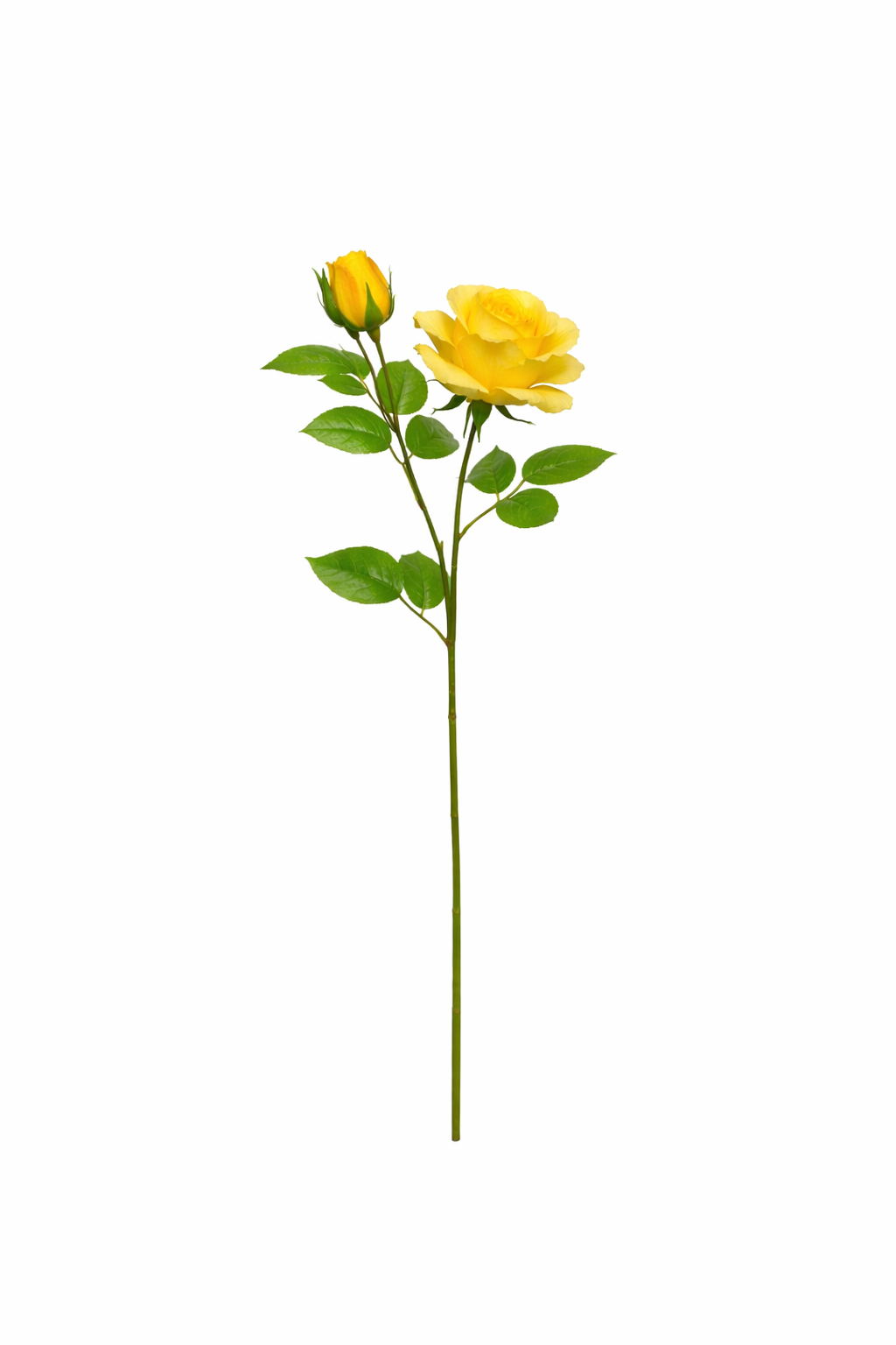 Rose Stem with Bud (Bundle Amarelo)