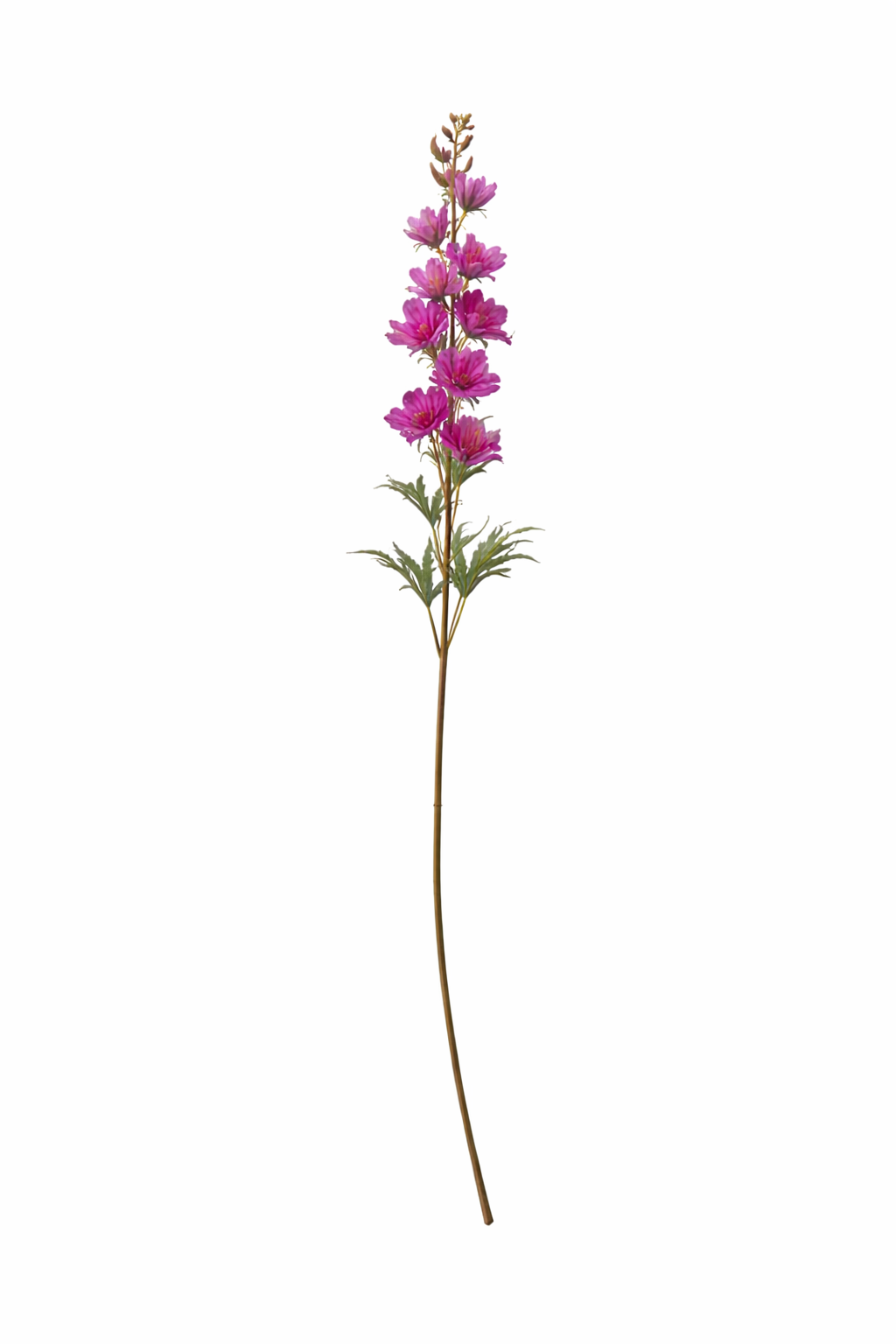Elegant Delphinium Blossom Stem (Bundle Cream)