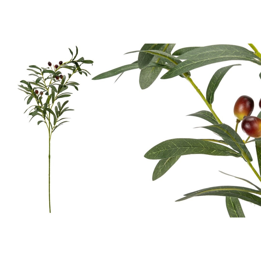 Olive Branch Stem