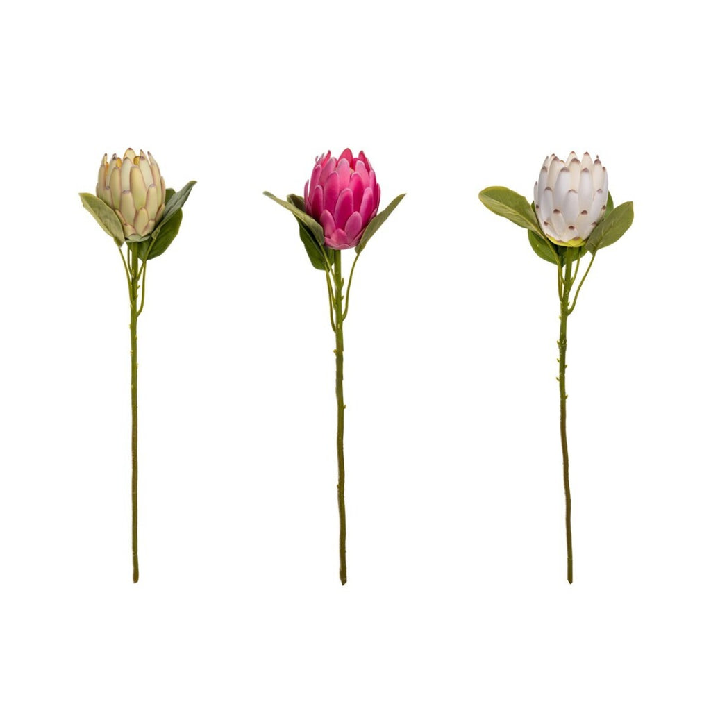 Grand Protea Bloom Stem (Bundle Creme)