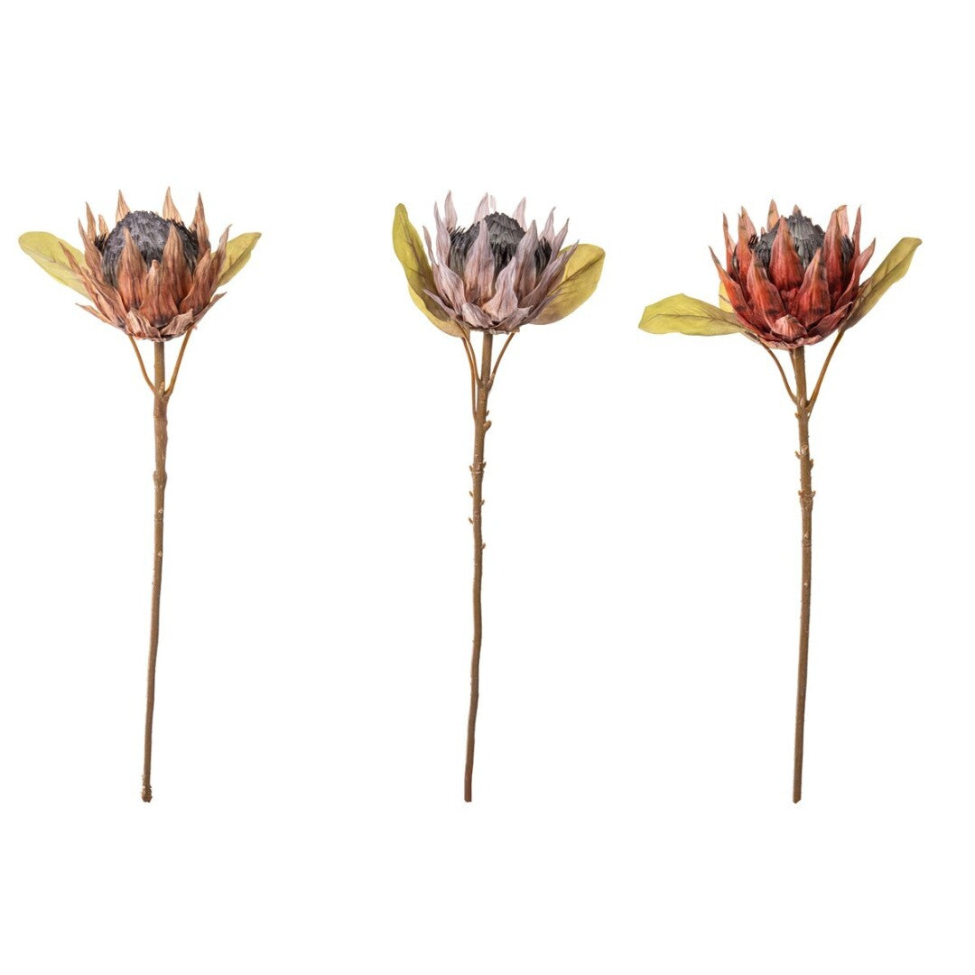 Burnt Protea Statement Stem