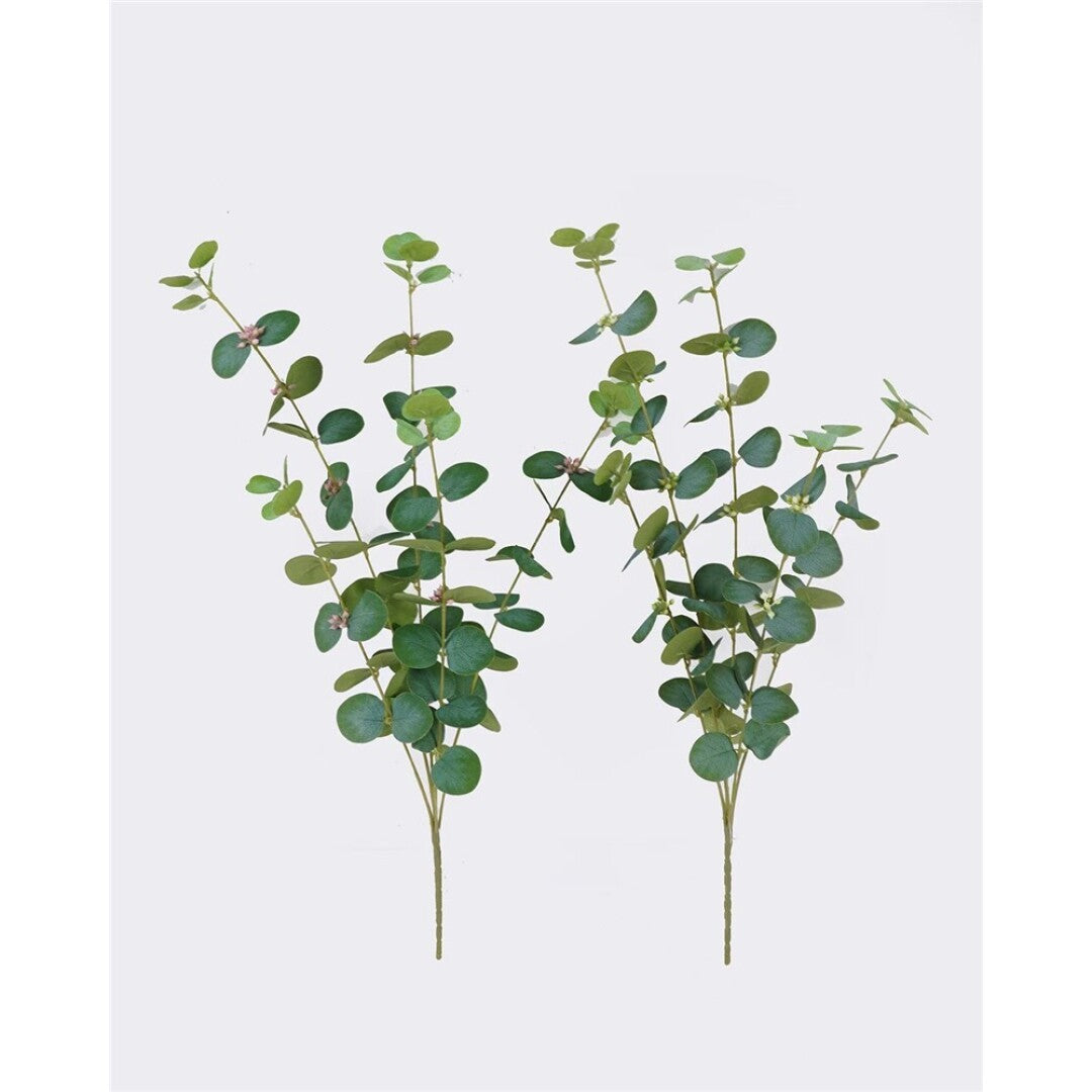 Eucalyptus Round Leaf Spray