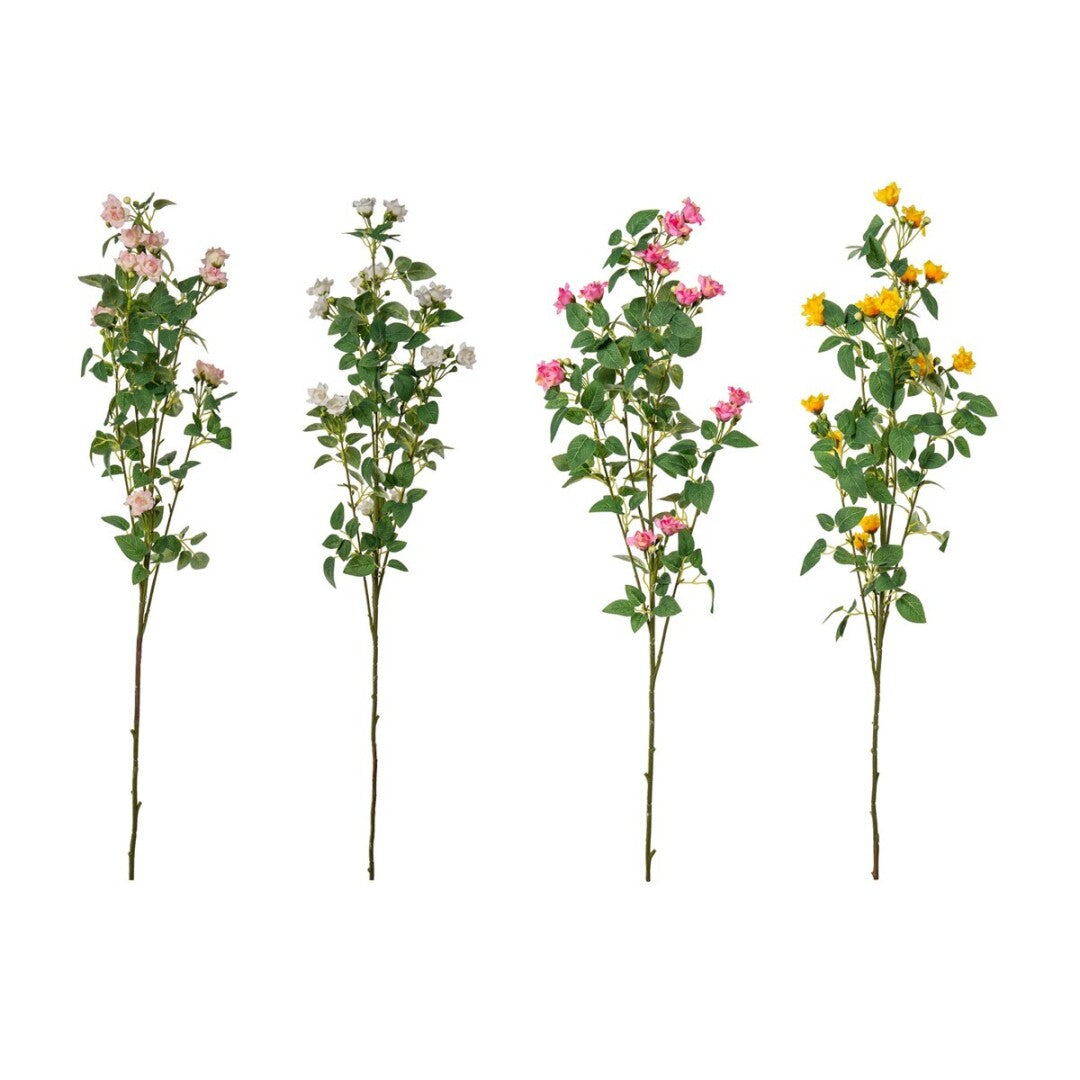 White Jasmine Blossom Branch