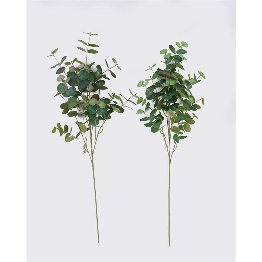 Natural Eucalyptus Branch Spray