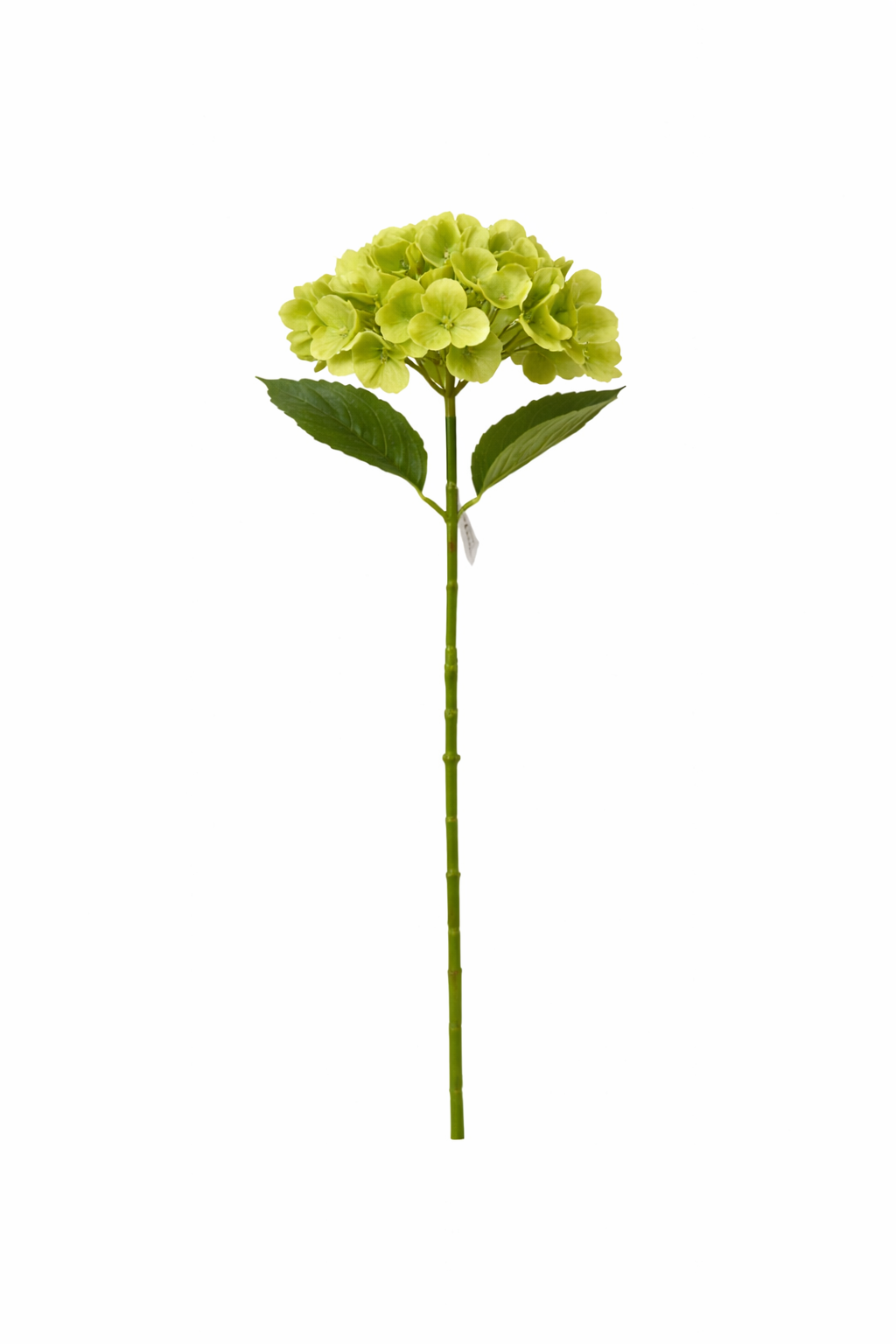 Premium Artificial Hydrangea Stem – 5 Color Variants